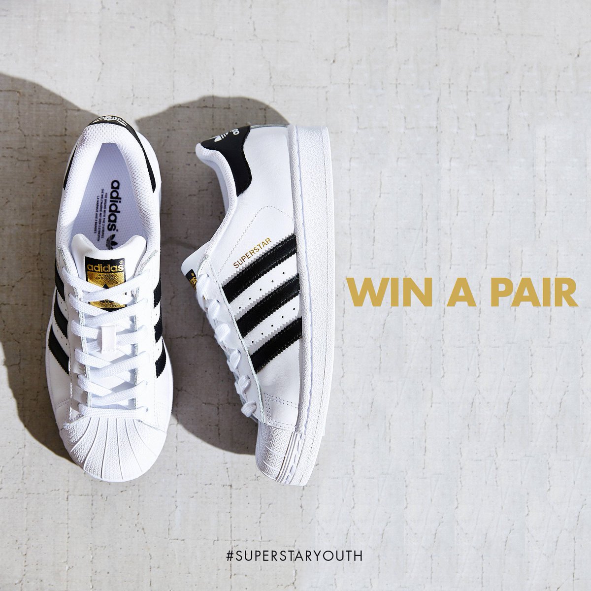 Stand a chance to win a pair of <a href="/adidasoriginals/">adidas Originals</a> Superstar this Youth Day! Share &amp; Retweet this post now! and win <a href="/Studio_88/">Studio 88</a> #SuperstarYouth