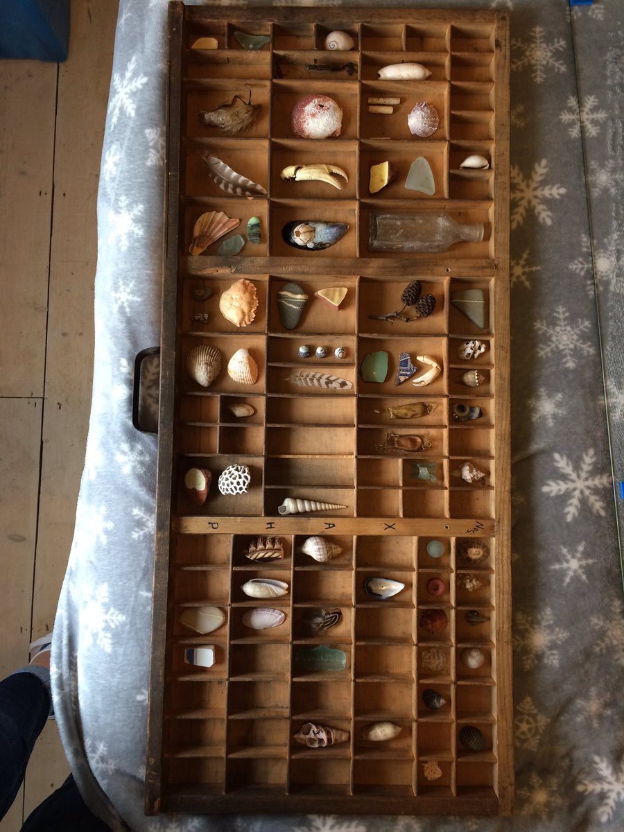 Preserving some of my salty seashore finds &amp; with any luck a beautiful piece to treasure. <a href="/coastmag/">Coast Magazine UK</a> <a href="/BioDivLibrary/">BHL</a> <a href="/shell_bot_i/">貝殻bot</a> 🐚