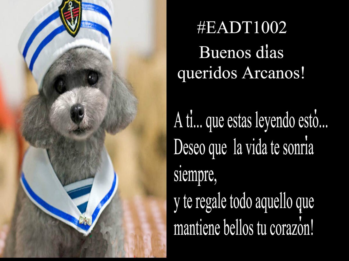WebOz_'s tweet photo. ✧🌞
／＼～⛱️ #EADT1003
＼／GM
🚢 Buenos días mis queridos Arcanos! Comencemos este martes con mucha alegría https://t.co/dRbh6YbFGO