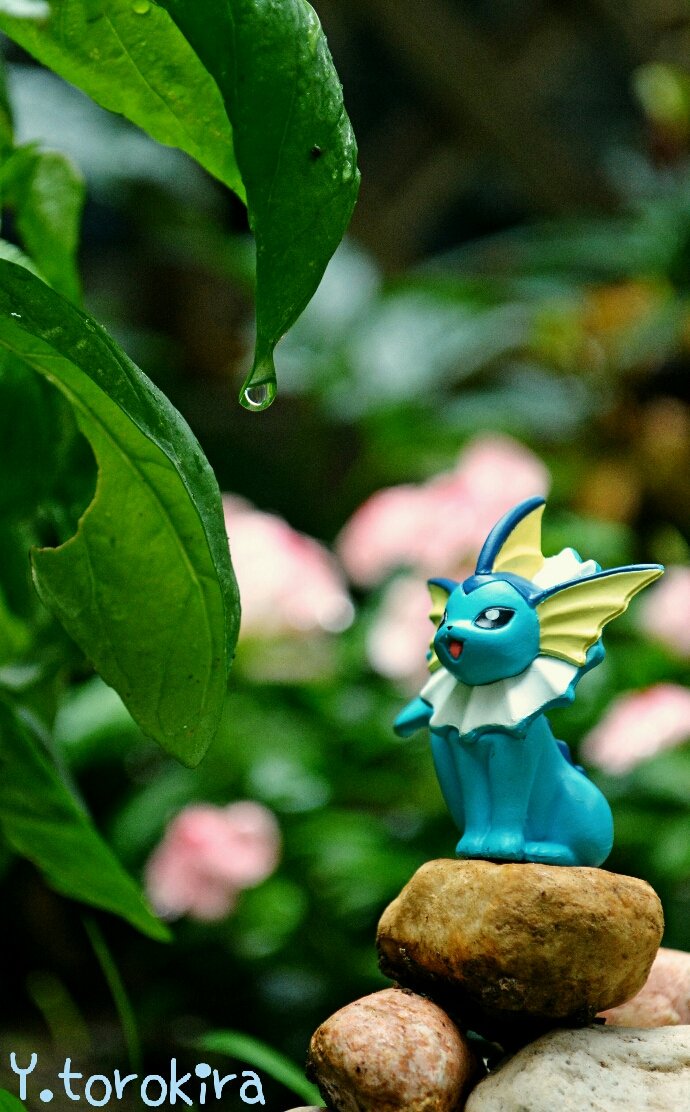 ぱる姉 梅雨の庭で シャワーズ ポケモン ポケモンスナップ リアルポケモンスナップ ぱる姉 梅雨の庭で シャワーズ ポケモン ポケモンスナップ リアルポケモンスナップ