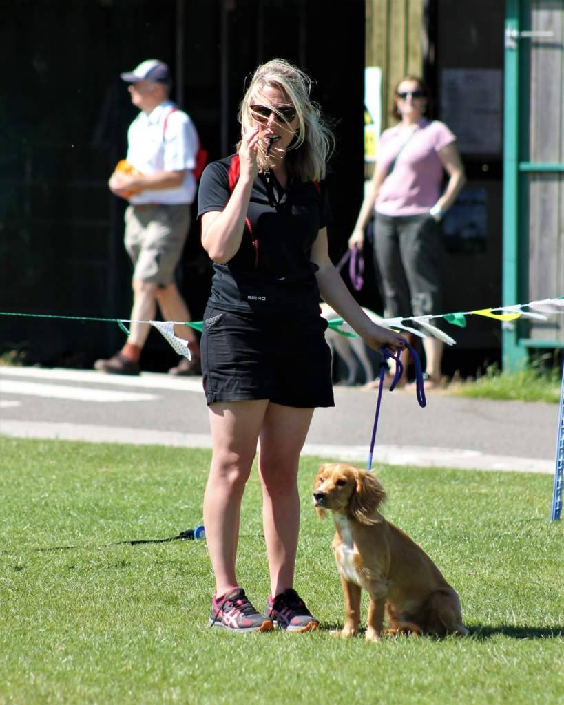 ASUatSWCHS's tweet photo. Some summer fair pictures well done ASU students you put on a fantastic afternoon!! #student #summerfun #farm #dogs #animals #crafts https://t.co/ttqCJaj1ZS