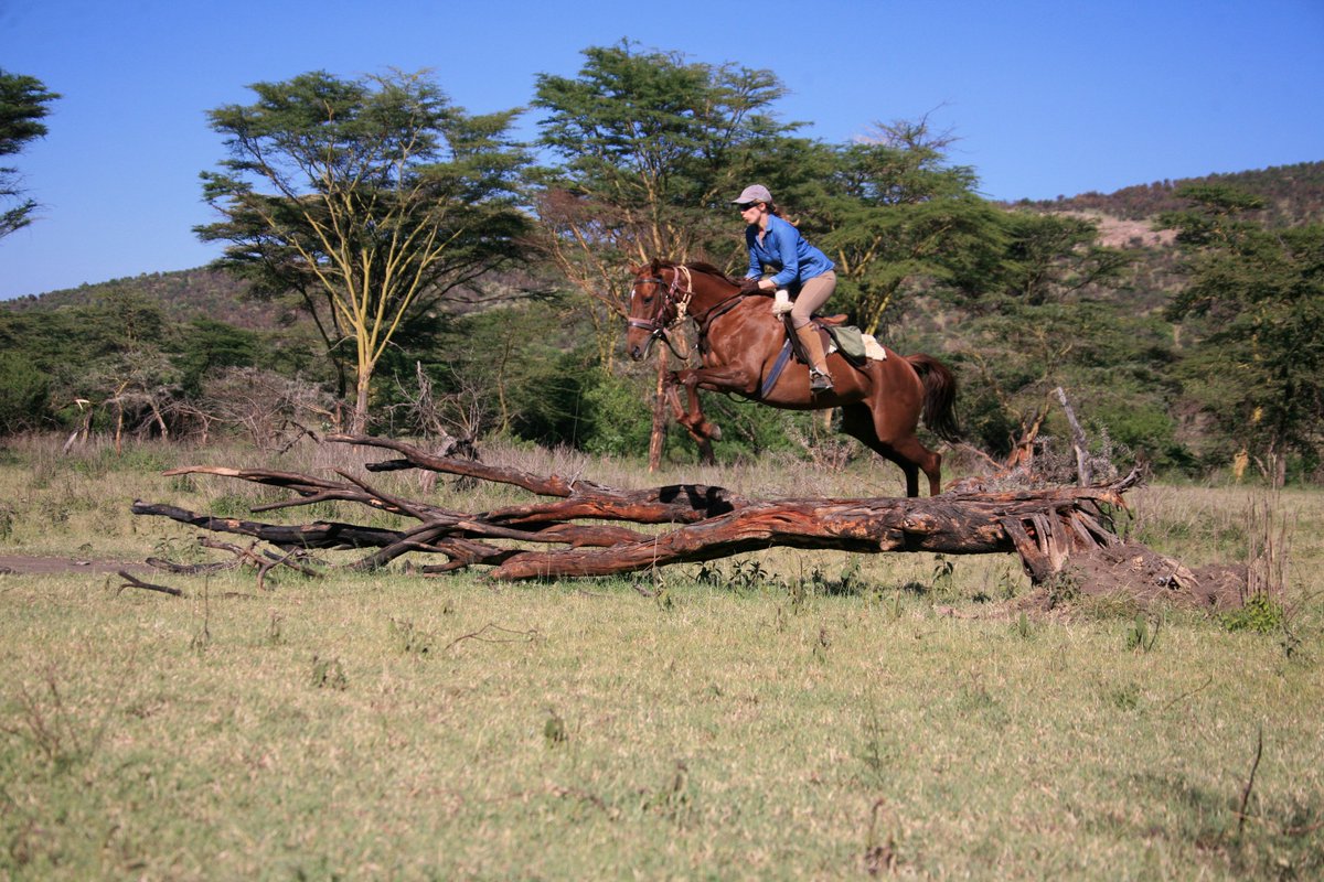 AliceGully's tweet photo. Where do riding safari guides want to go on holiday; https://t.co/HDOb3kjK6r @aardvarksafaris @OffbeatSafaris @boranaranch https://t.co/T6ETHS0NhM