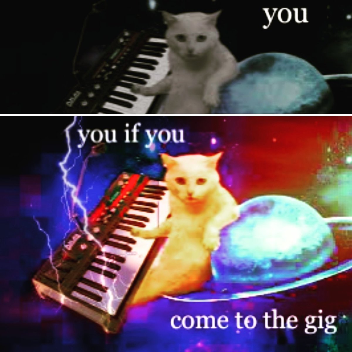 Yes! You! #synth #party , at The Safari Lounge Edinburgh, Saturday Night, Get doon!
#synth #synths #synthwave #edinburgh