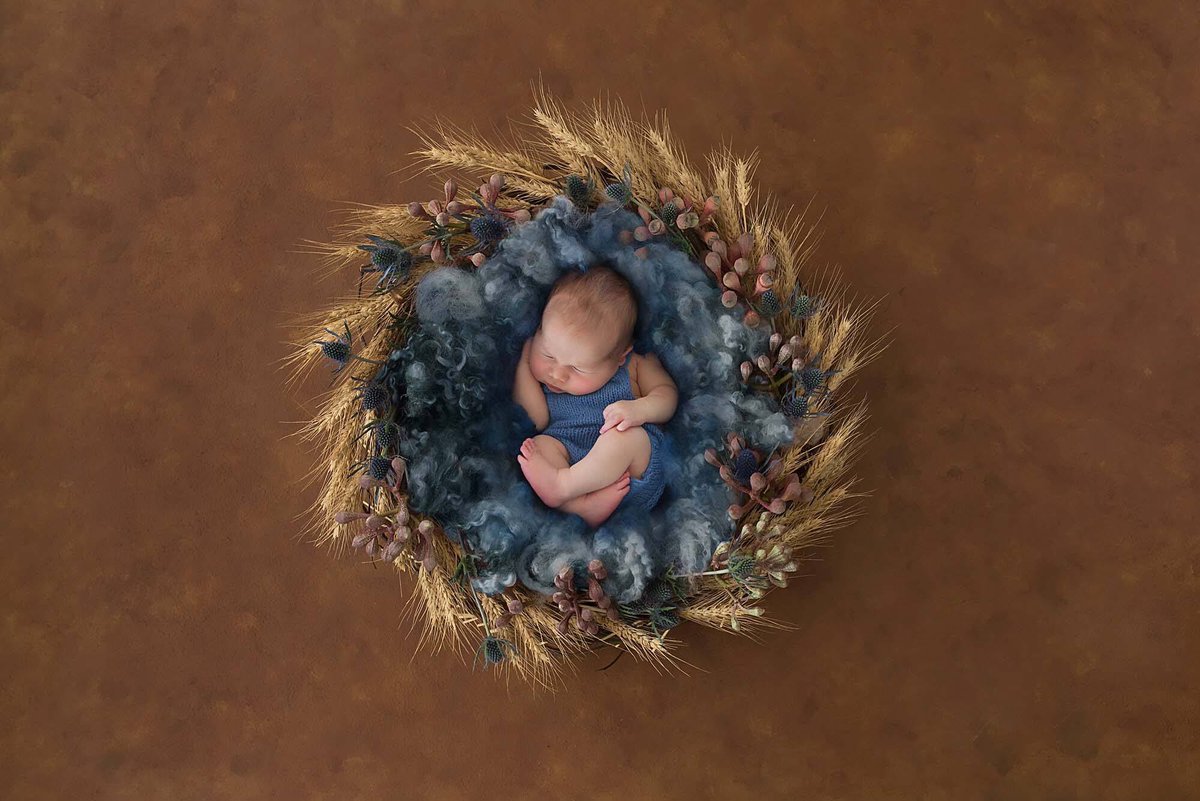 The_Chick's tweet image. I love my job #brisbaneneebornphotographer #newborn #babyphotographer