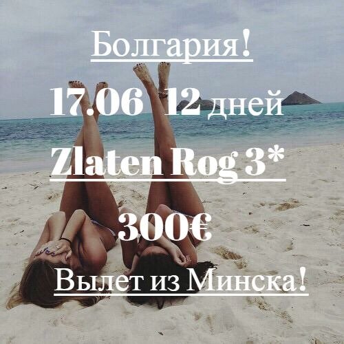 Mega_Dialog tweet picture