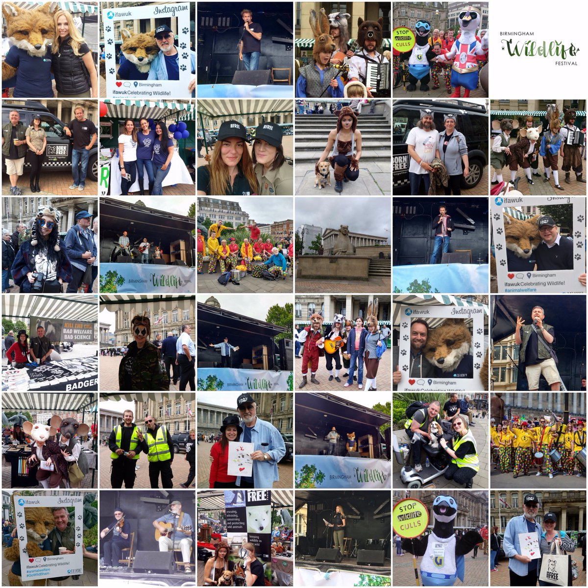 BrumWildFest's tweet photo. THANK YOU! Sponsors, speakers, exhibitors, musicians, organisers, volunteers and everyone attending for making #GoWildBham a ROARing success https://t.co/nhQQuShYyV