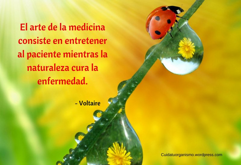 CuidaTuOrganism's tweet photo. Aprovecha mejor tu vida con las 🌼reflexiones más saludables✨ https://t.co/J8t3XqKwxx https://t.co/SrRQ6Xi7gH