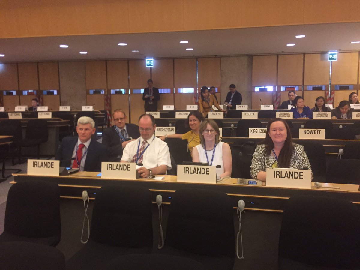 djoyce18's tweet photo. Irish delegation at #ILC2017 @JobsEnterInnov @ibec_irl @irishcongress https://t.co/c7sLbeWSvl