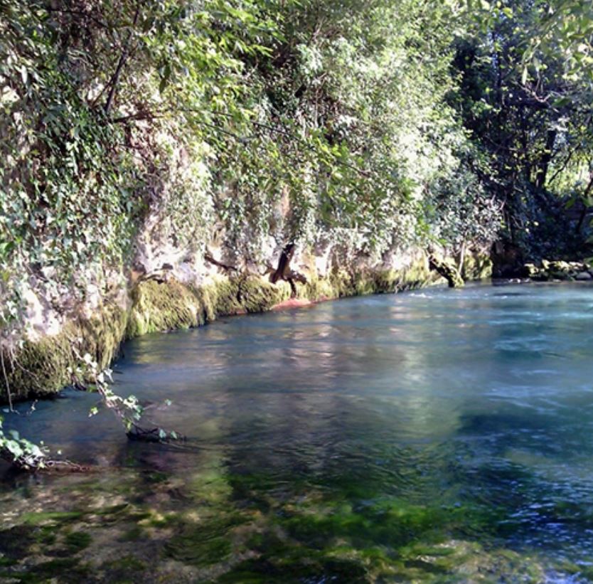 VisitFVG's tweet photo. ScopriLe risorgive del #Timavo con il racconto di @VeronicaGerussi sul nostro #blog: https://t.co/KhFnTAkPaW #slowFVG https://t.co/E02HzU7vUZ