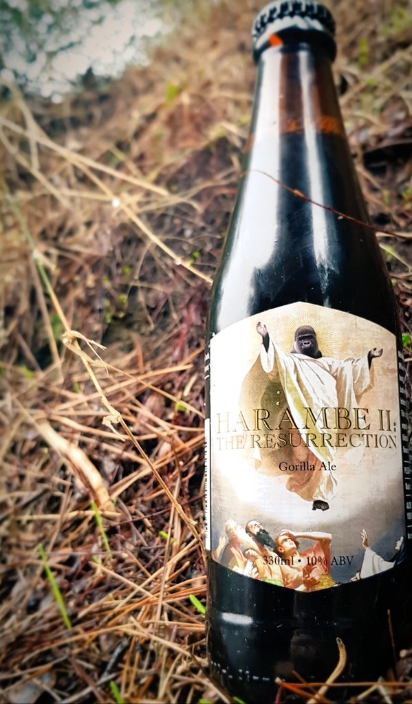 <a href="/400Brewery/">400 Brewing Company</a> #Harambe II gorilla ale is a 10% black imperial #IPA which is perfect for this #capetown rain. #beer #CraftBeer #beertweets