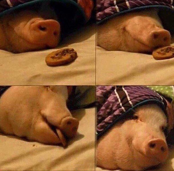 When you get home after a long day and you can finally be yourself again.