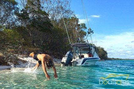 boatsalescomau's tweet photo. A great #FraserIsland #trailerboat travel story w/ fishing + camping tips https://t.co/dJ2NtNT9N3 @Queensland @FraserIsland @TourismAus https://t.co/e9AIuLxfgc