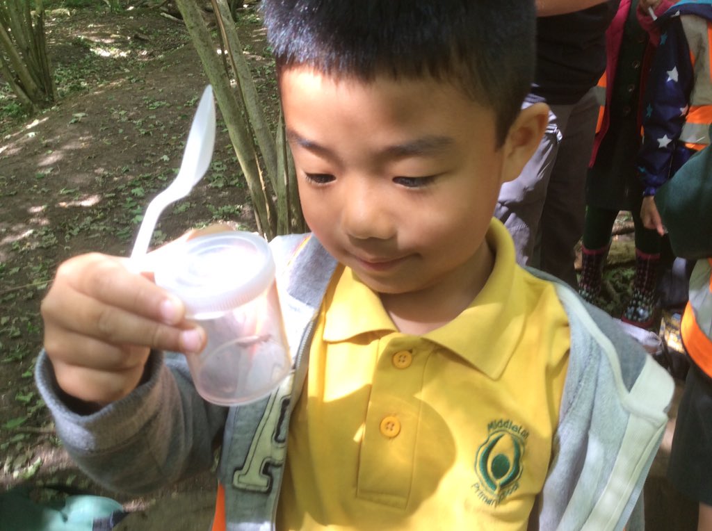 WoodpeckersMPS's tweet photo. What have we found? #minibeasthunt #OutdoorEd #learningoutdoors #welovescience #usingandapplying https://t.co/Nk0qaLqP0j