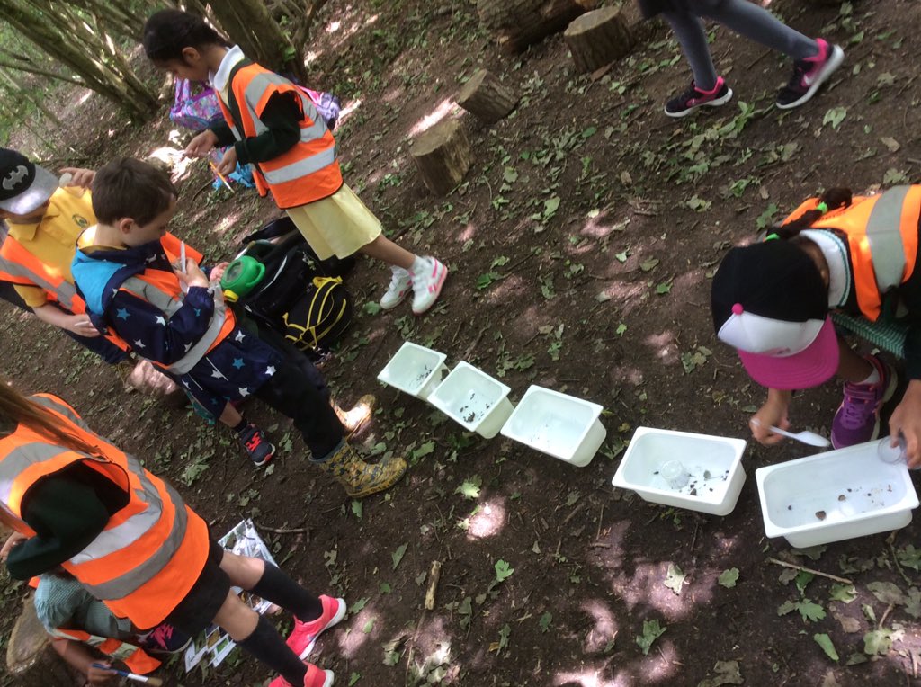 WoodpeckersMPS's tweet photo. What have we found? #minibeasthunt #OutdoorEd #learningoutdoors #welovescience #usingandapplying https://t.co/Nk0qaLqP0j