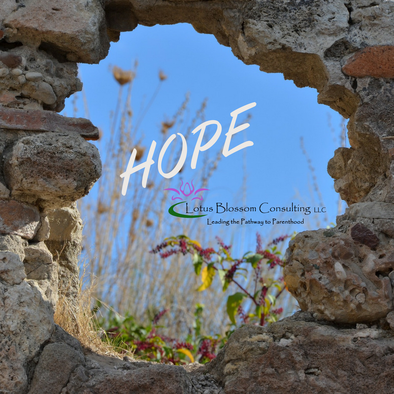 infertilityhope's tweet photo. 1 in 8 couples experience fertility issues. If you are that 1, know that there is HOPE.  We have been there.  https://t.co/cHc3gv3jKj https://t.co/s2ERkXIhrA