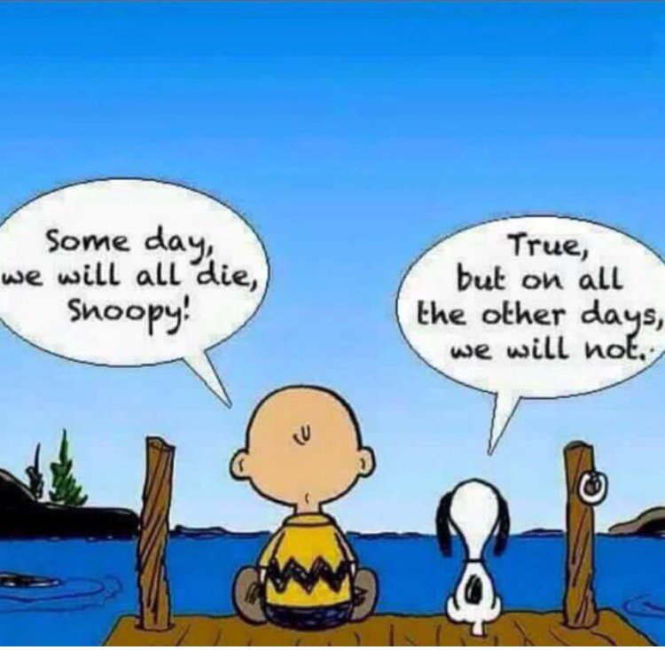 iamsrk's tweet image. And for those who r feeling like this today….remember there r so many other days…Jab Charlie Met Snoopy