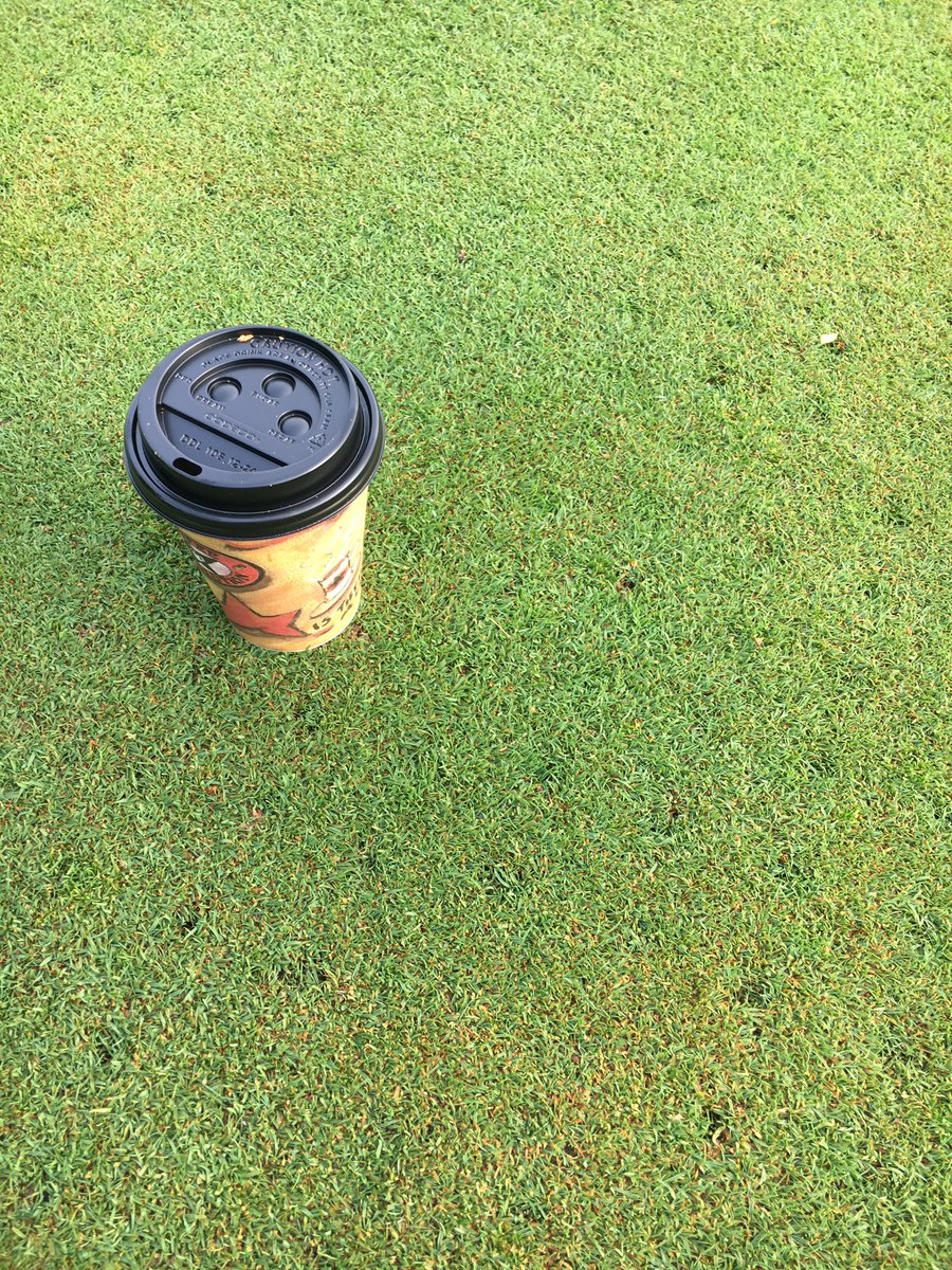 mowitlow's tweet photo. Aerified one week ago.  3/4" solids, then 45 tons of topdressing to fill the holes. Clean and fast. Great job by @MarshesGolfClub turf crew! https://t.co/Jl4wzmOUR2