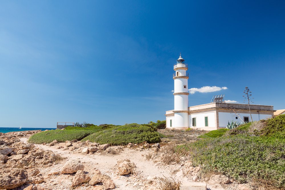guiamallorca tweet picture