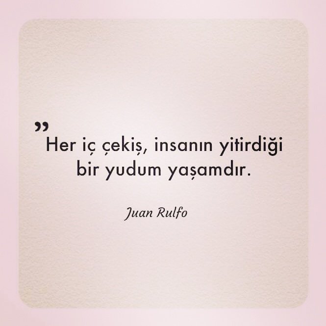 mustafa karanfil (@kelamsiiz) on Twitter photo 