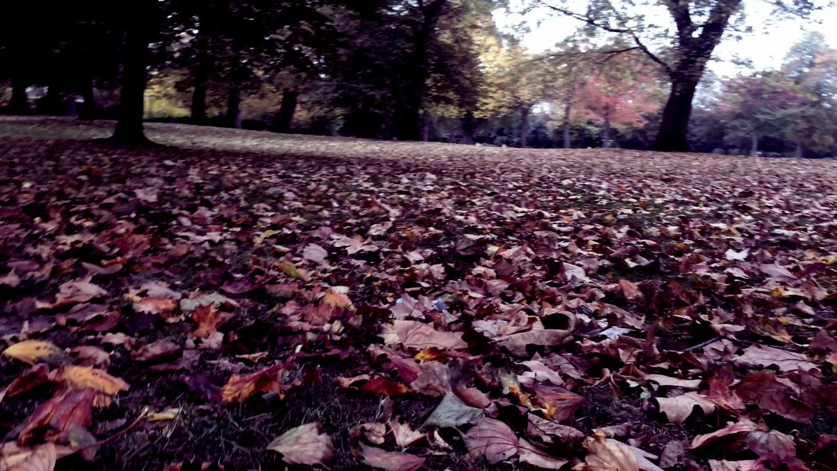 Philip Morgan Lewis tweet media