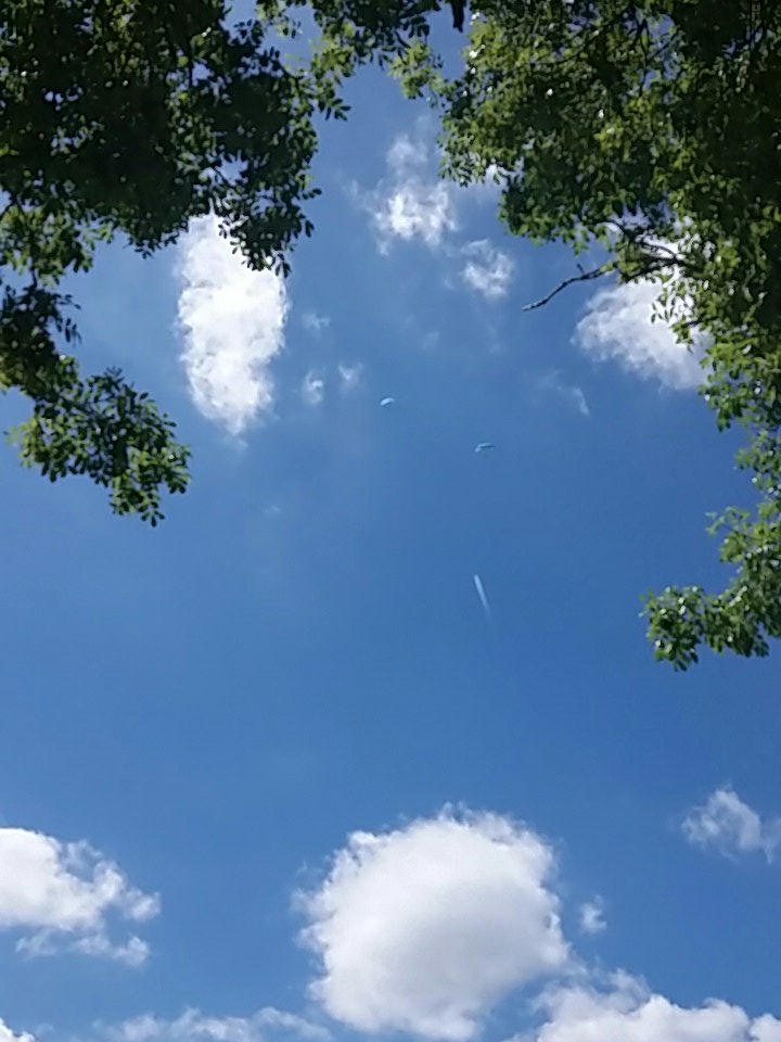 knottolerant's tweet photo. Heads up #Hawkhurst #2 #paraglider right now https://t.co/FmMQn0ew2z