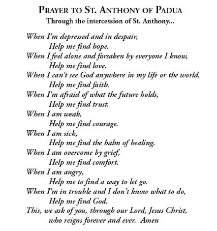 LexCatholic tweet picture