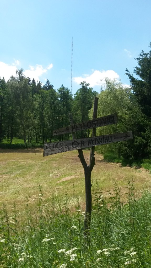 Finalising the system and performance audit at the Kresin u Pacova station in Czech Republic. Nice summer weather! #ICOS #greenhousegases