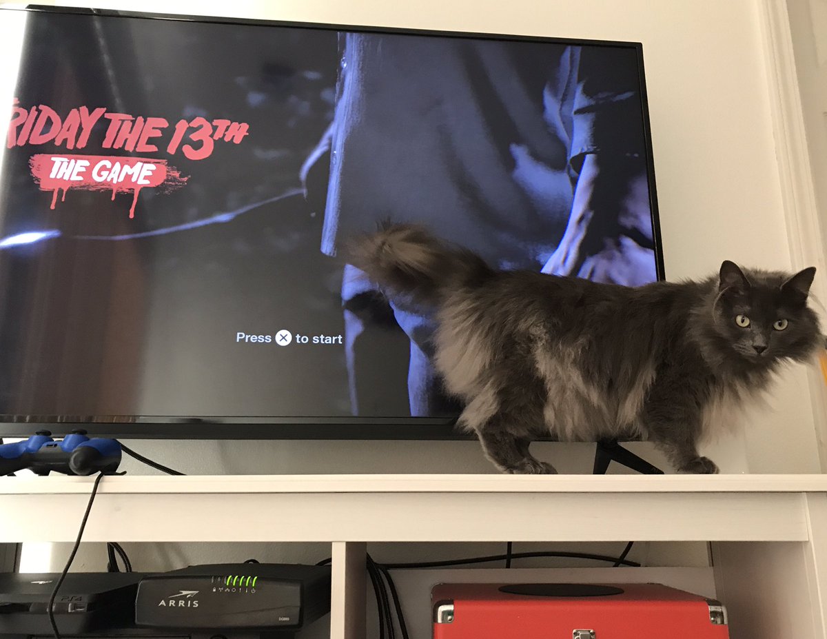 BarelyAshley's tweet photo. @HorrorMovieCast Bonus: Lucy just doing cat things and trying to interrupt my game 😂 #horrorpets #cats https://t.co/AOE4qIx8rZ
