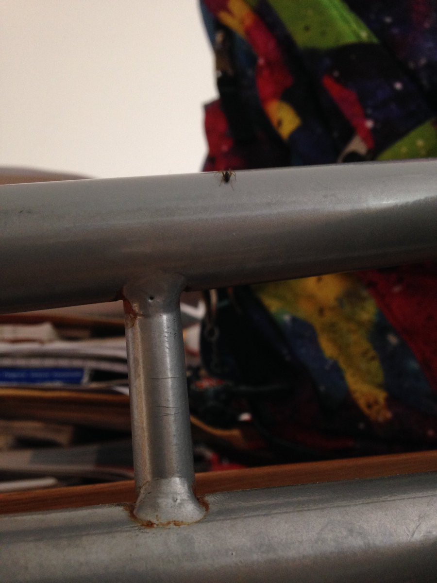 Day 13/ #30dayswild: Found a money spider &amp; a very strange arachnid that seems to have pincers, does anyone recognise it? #TuesdayThoughts