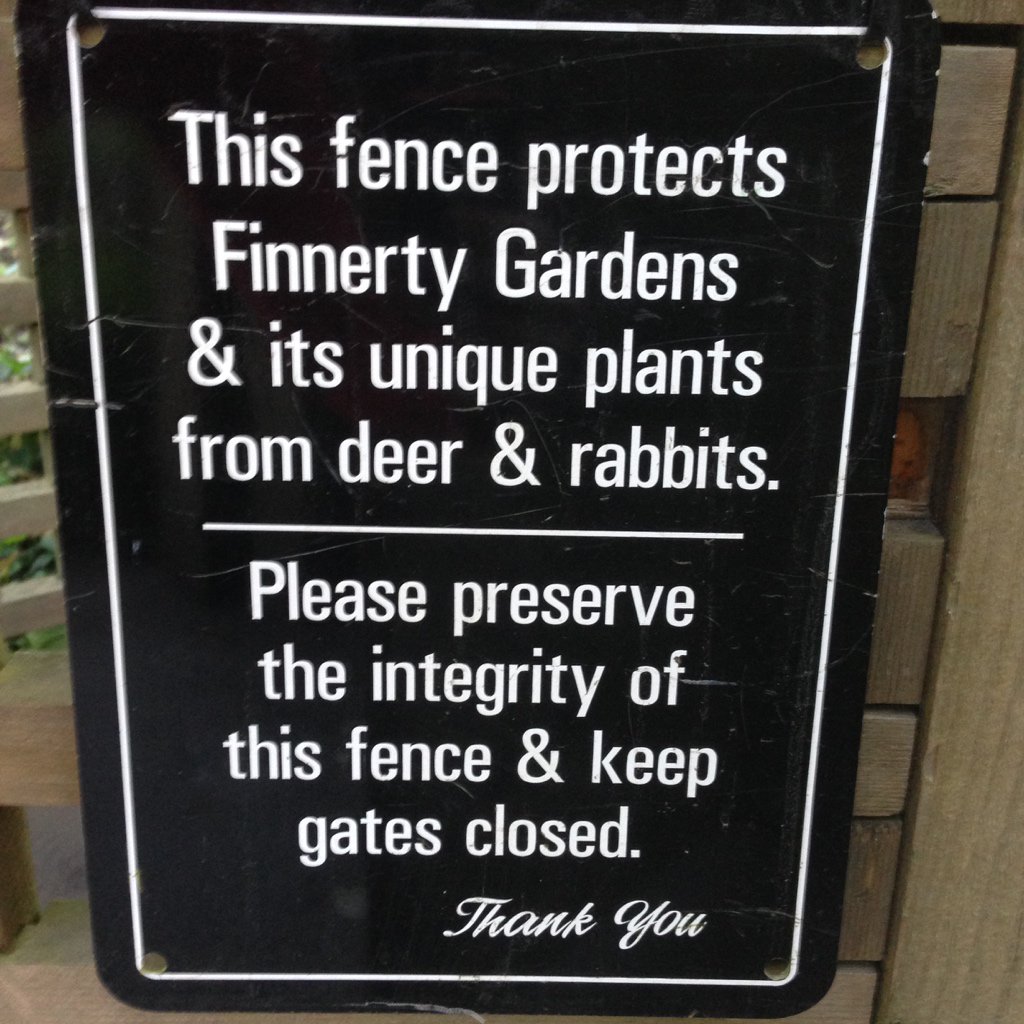 🎶 “You must not know ‘bout me. 🎶
#dhsi2017 #bunniesgonnabun