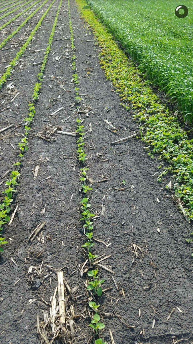mschwarz14's tweet photo. #VerdictOutlook hanging in there as good as I've seen! #BASFtweets https://t.co/qDeNr2vCVc