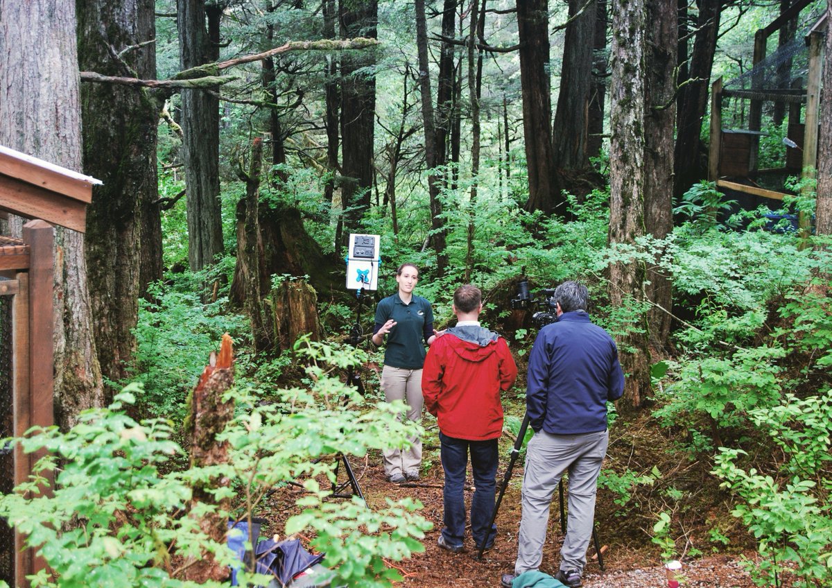RaptorOrg's tweet photo. It is always exciting to have a film crew working at the Alaska Raptor Center!
#movies #alaskaraptorcenter #Sitka #flimcrew #raptor #alaska https://t.co/VNaO3DRnXh