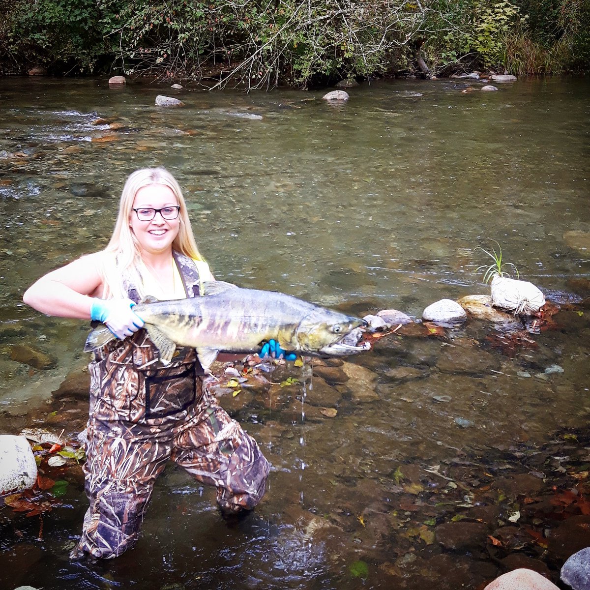 ARMS needs your HELP!! Donate or Share our Adopt-a-Salmon Campaign - Thank you! #Alouetteadoptasalmon canadahelps.org/en/charities/a…