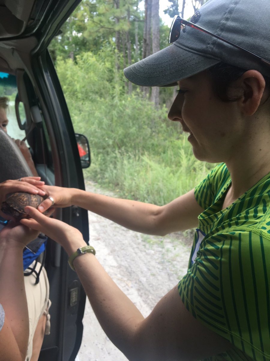 Impromptu stop to admire a crossing turtle during our UTOTES field trip