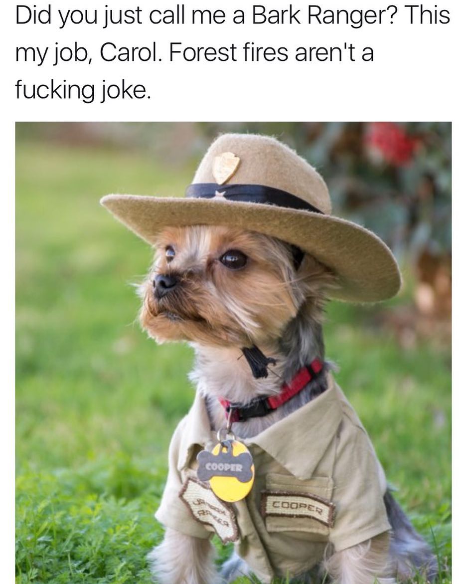 MensHumor's tweet photo. CAROL! https://t.co/q5InrlNMPE