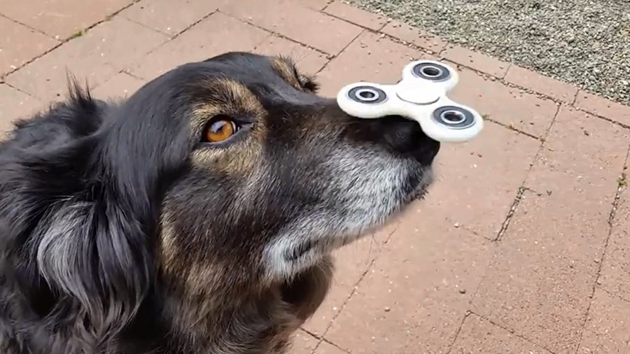 Fidget spinners zijn niet alleen leuk voor kinderen! 😂 upload.kijk.nl/ingezondengrap…