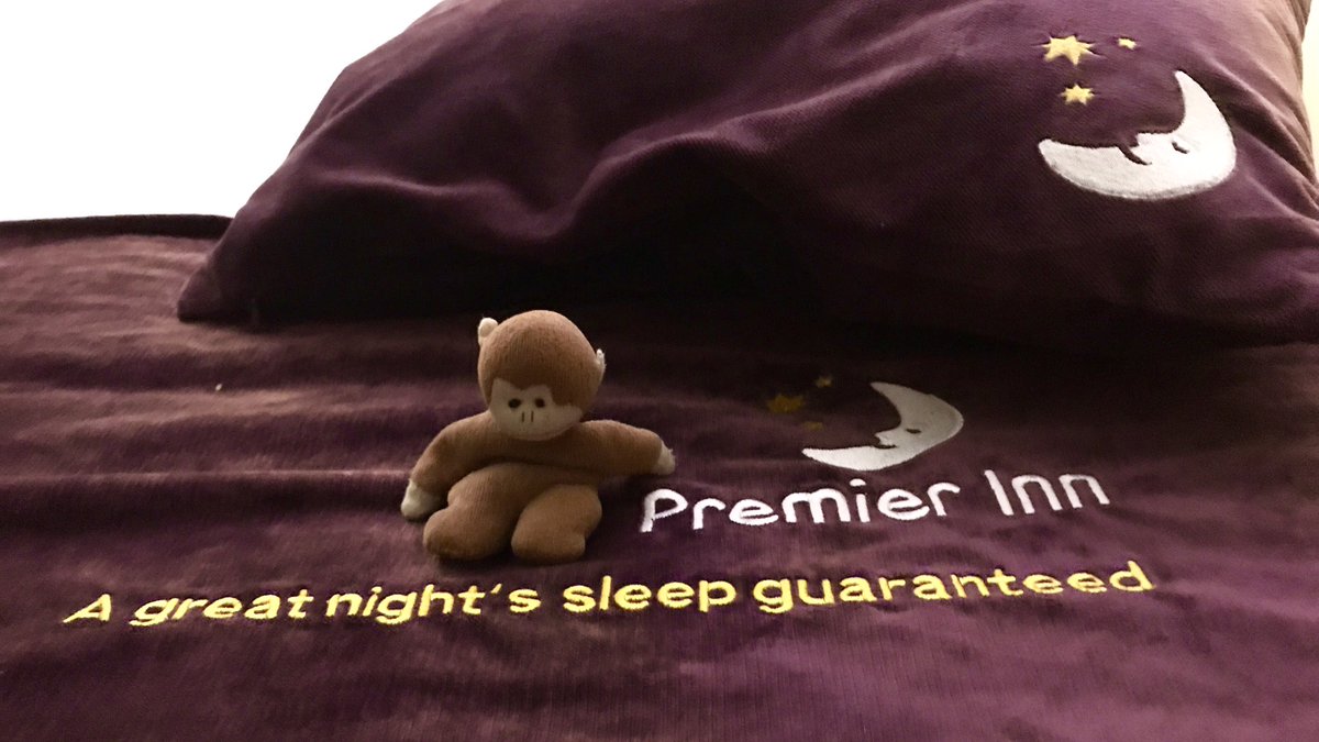 ChimpyWorldwide's tweet photo. Thanks to @premierinn Orpington for another great night sleep... even though the bed was a bit big. 🙈 https://t.co/CMelZspHpg