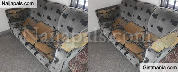 Naijapals's tweet photo. SMH! Checkout The Visitors Seat At The Magistrate Court In Wuse, Abuja (Photo) https://t.co/xrQSjpgv0l #Naijapals #Gistmania https://t.co/Qa38uSVkfw