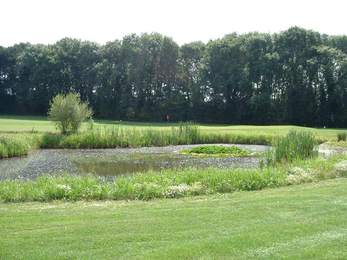 #FathersDay vouchers available from Worldham Golf Club <a href="/WorldhamGC/">WorldhamGC</a> #golf #dad #thanks