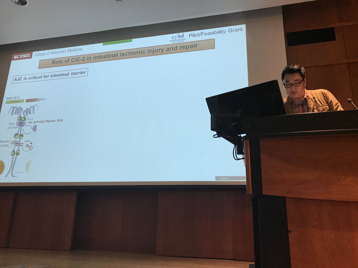 Younggeon Jin now up with role of chloride channel CIC-2 in #intestinal homeostasis. #CGIBD #ResearchDay2017