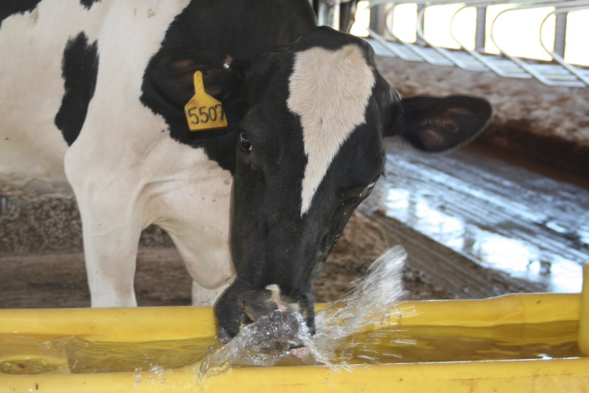 WIFarmBureau tweet picture