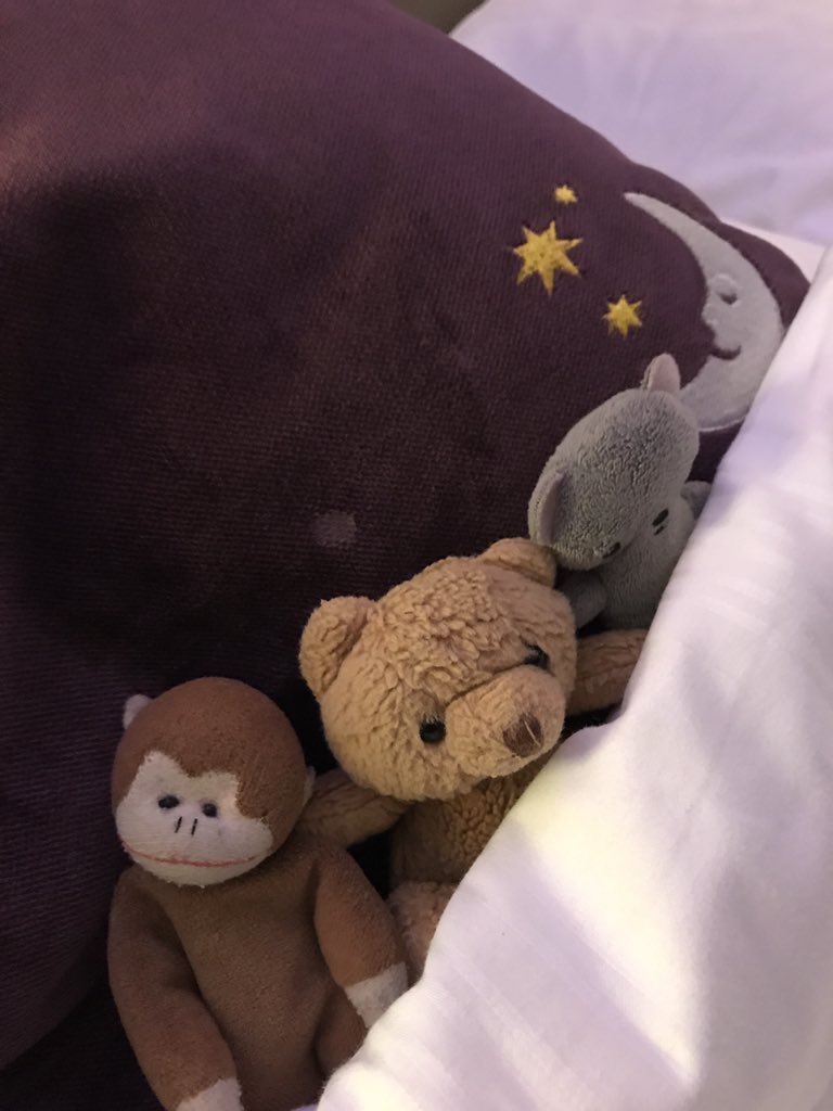 ChimpyWorldwide's tweet photo. @premierinn Thanks Rebecca I have already recommended you to my friends. 💕 https://t.co/V1XTMTNbPt