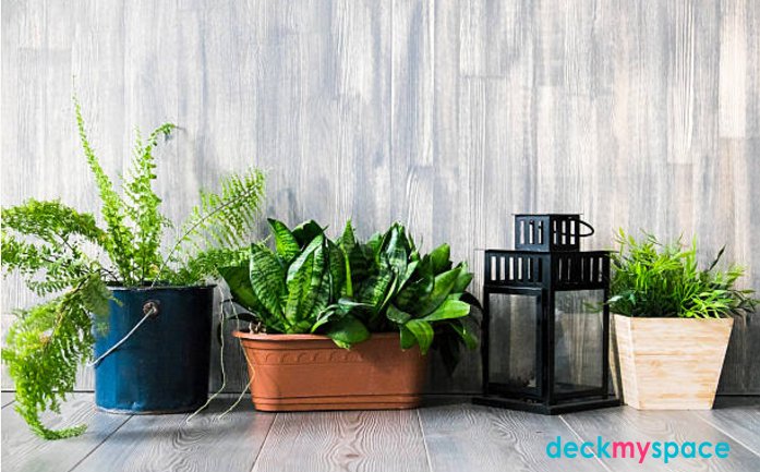 DeckMySpace_DMS's tweet photo. Plants at home bring positive vibes in your life. Coming soon with a blissful variety of #VerticalGardens for your Home. #GreenHomes https://t.co/MrpvCPiJhi