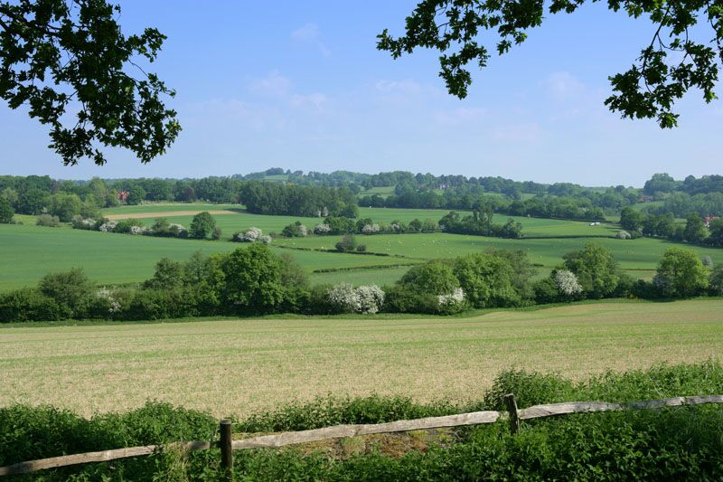 We're inviting families thinking of moving to Kent to 'Pick our Brains'! Booking essential. Various locations see facebook.co.uk/hartandvine
