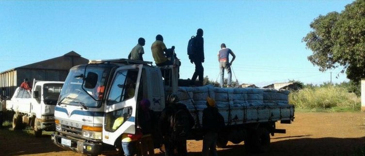 Mozambique’s National Malaria Control Programme distributed 4 million LLIN, insecticide-impregnated nets, to protect children and others from malaria as they sleep, the time most malaria-infecting mosquito bites occur. Malaria Consortium photo