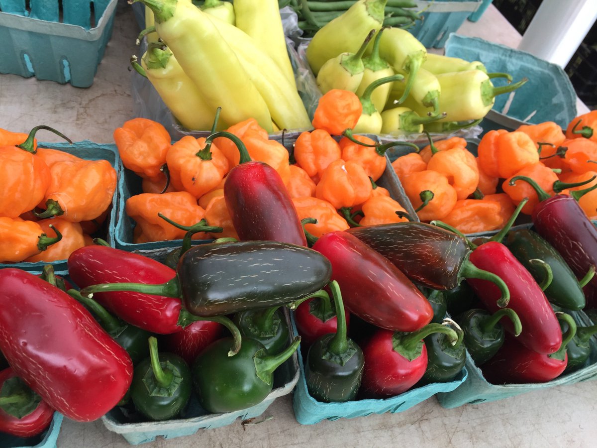 hMAG's tweet photo. TODAY: 2-8 p.m. @ Church Square Park...
Hoboken Farmers' Market is now centrally located for one-stop food shopping!
https://t.co/XKr3LgZyVP https://t.co/sqgRR11RM0