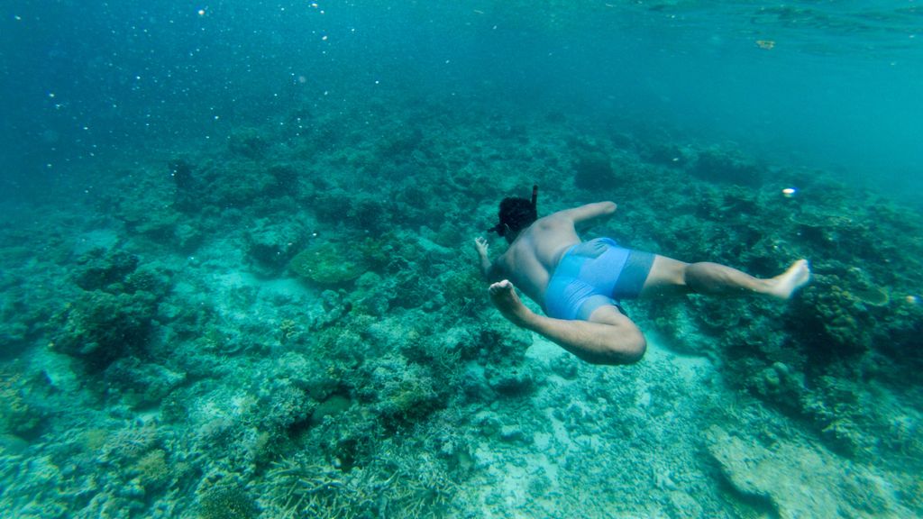 TonyVengo's tweet photo. The treasure is near ! 🗺 https://t.co/MD7mdNNGAb