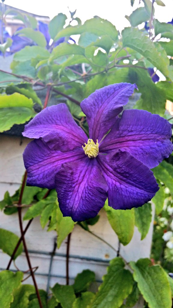 Darren Lakin tweet media