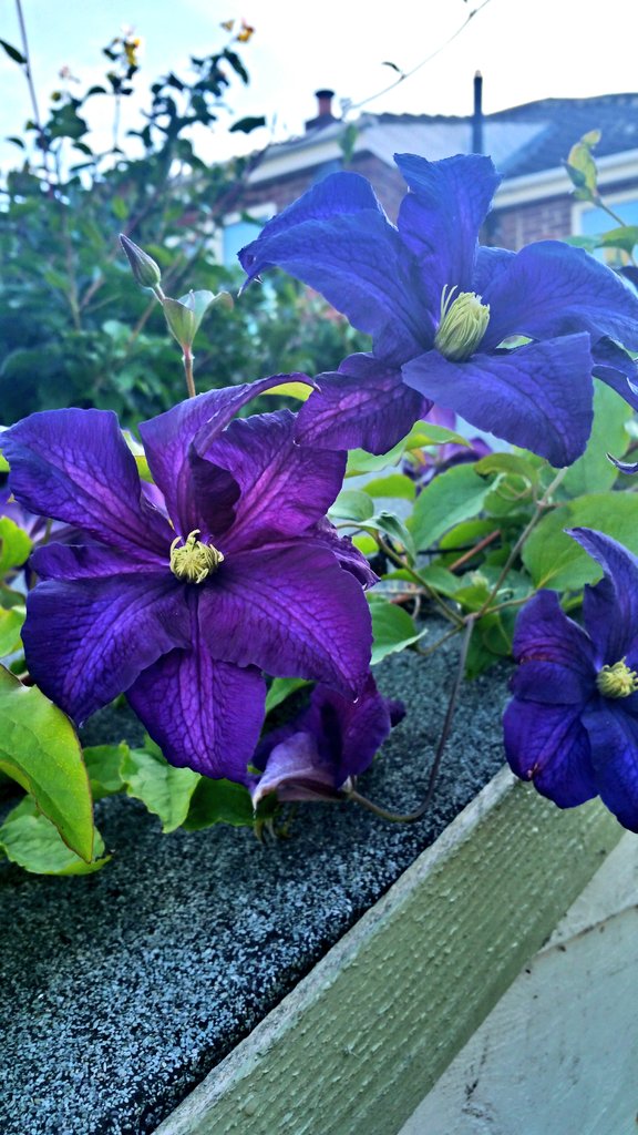 Darren Lakin tweet media