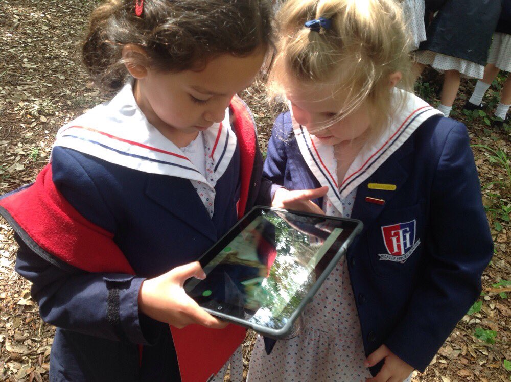 THSch_PrePrep's tweet photo. Spot the mini beasts! #thy1 #thprep #thscience https://t.co/wktzxwlPdm